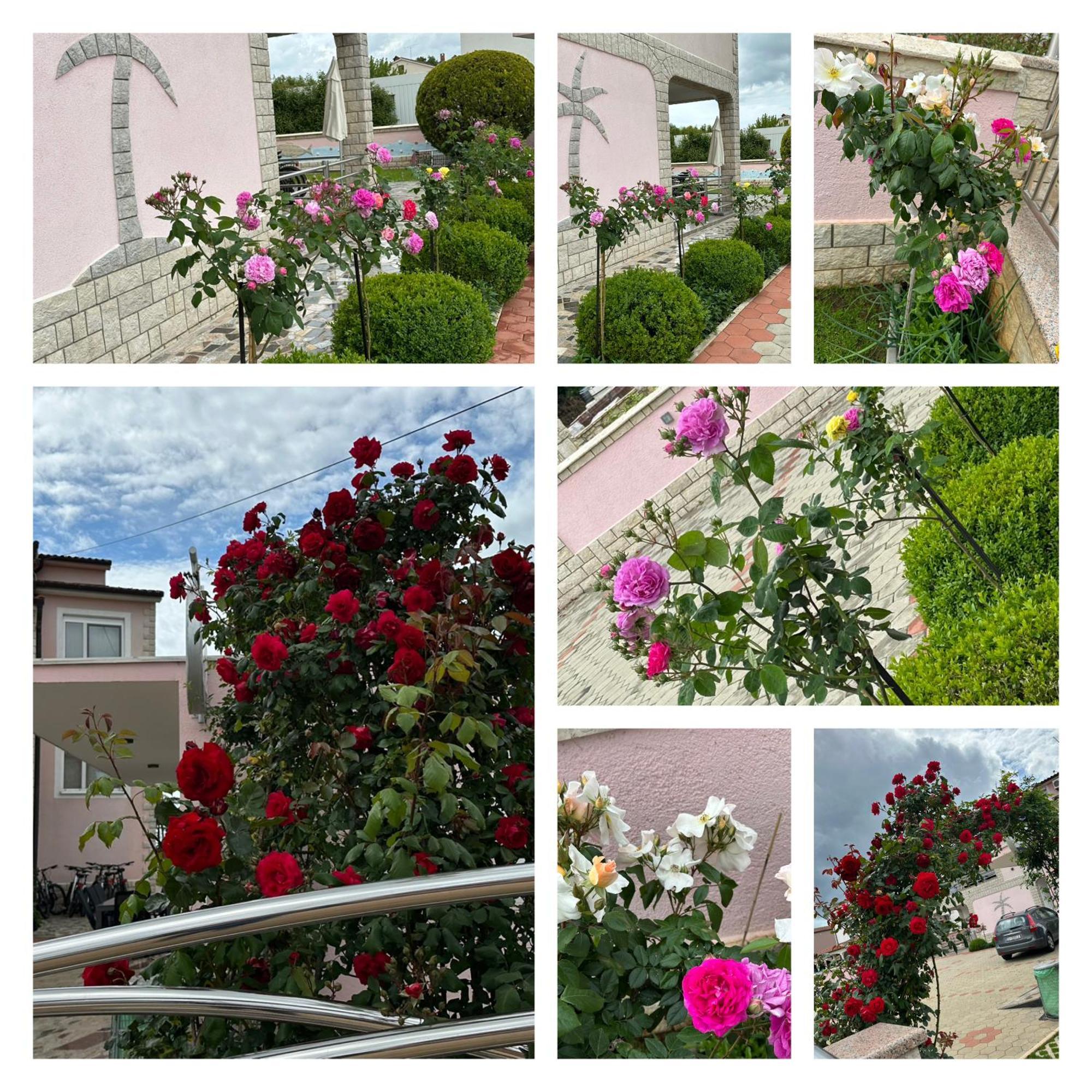 Villa Baldi -Apartmani Danny Tar-Vabriga Luaran gambar