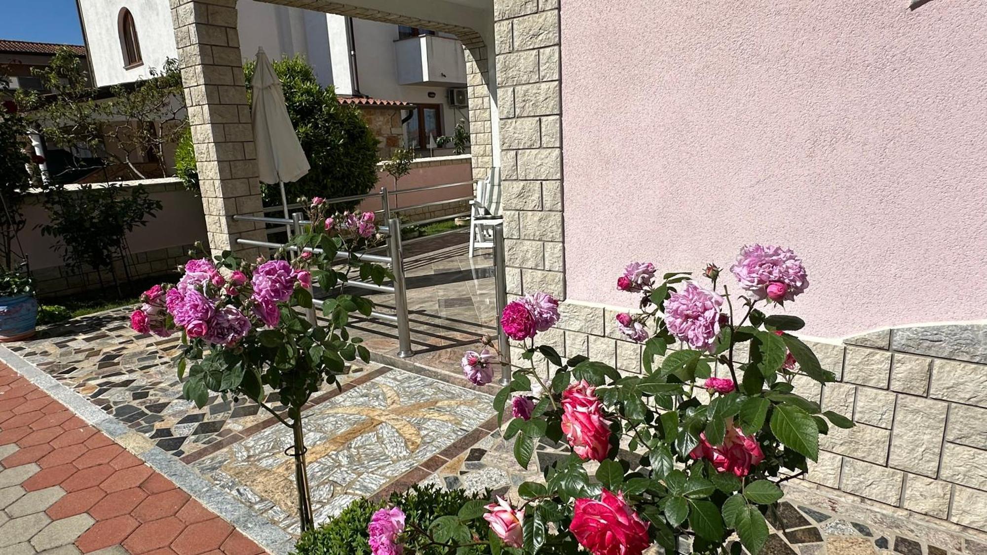 Villa Baldi -Apartmani Danny Tar-Vabriga Luaran gambar