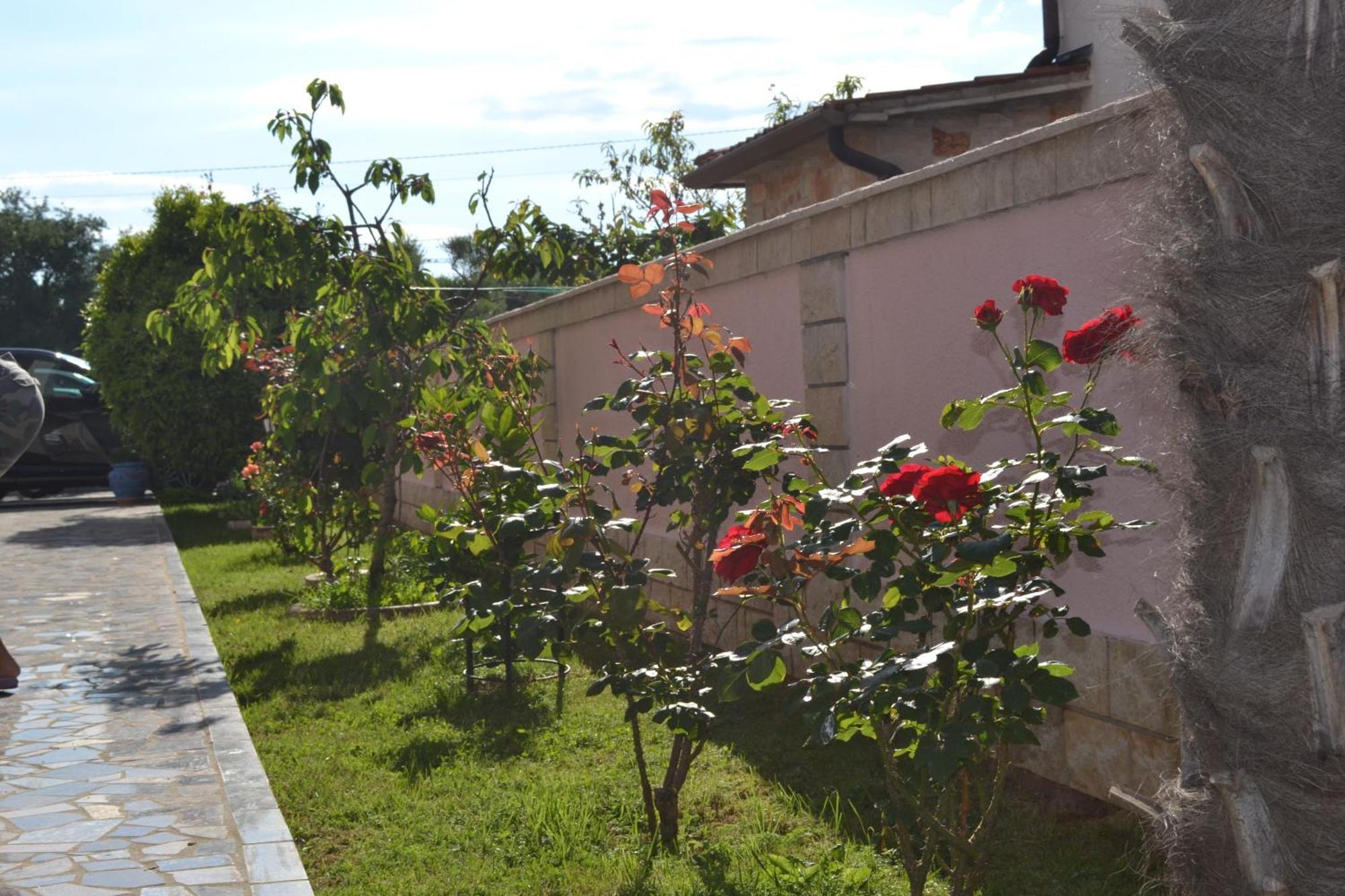 Villa Baldi -Apartmani Danny Tar-Vabriga Luaran gambar